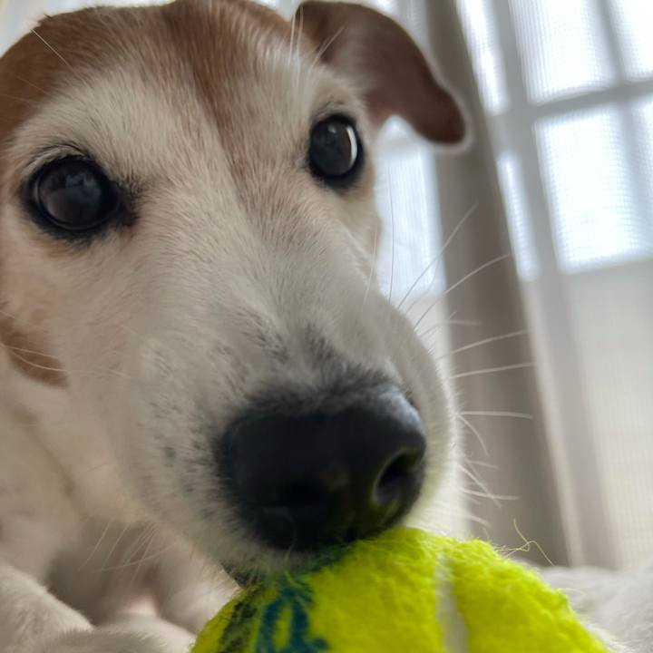 C86da19e ac94 476e b347 5f373d1a8188 1627087014509