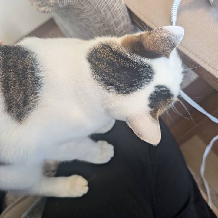 C86da2a7 a7dd 4552 a9a2 3632cadaa29f 1772941434311