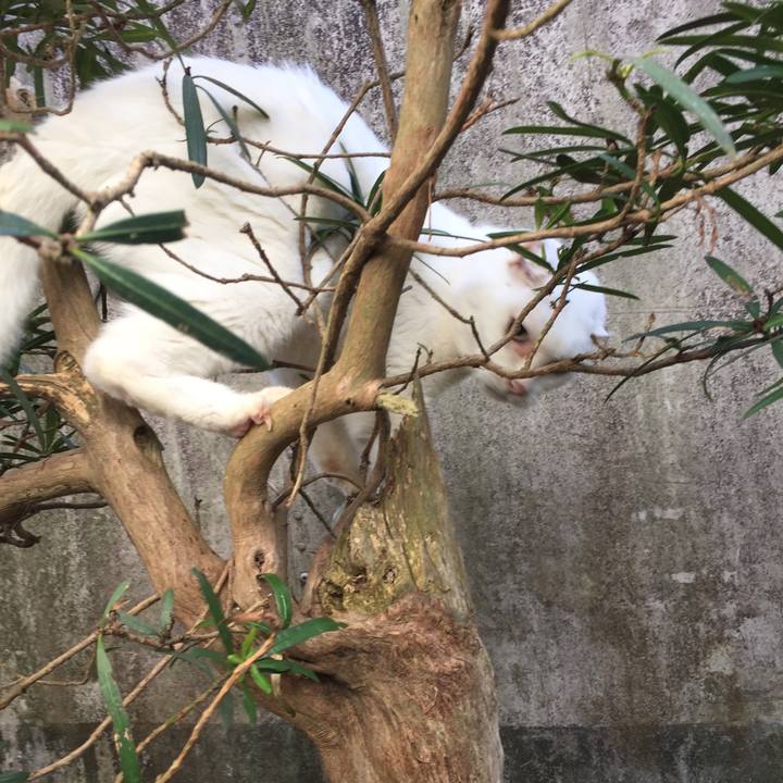 C86daadf b7f8 4987 b380 d71f66fd7545 1520653165708