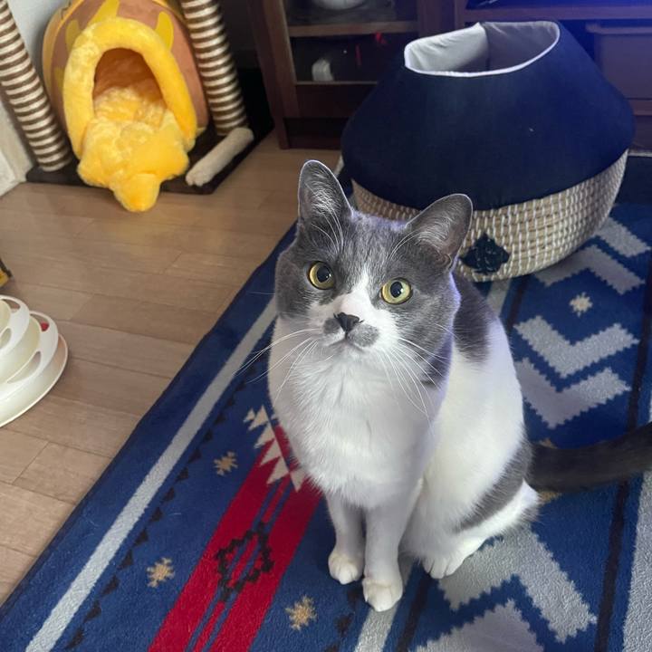 C86db2b8 6c7f 481c a697 ad0d12c83a00 1679352147206