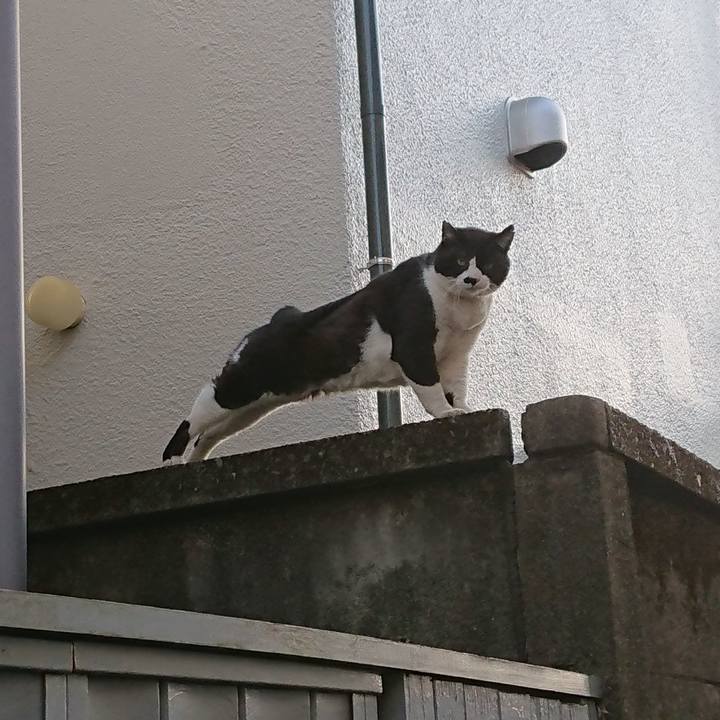 C86ebad7 44a2 4789 9722 904814ecf93b 1649752197410