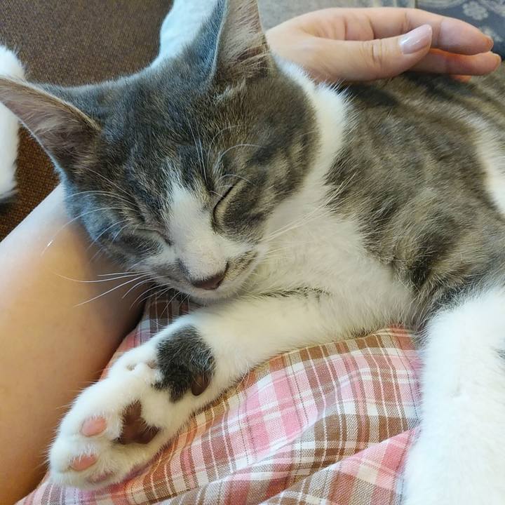 C86ebbb7 8840 474f 9ed2 d2254da6c494 1568703665312