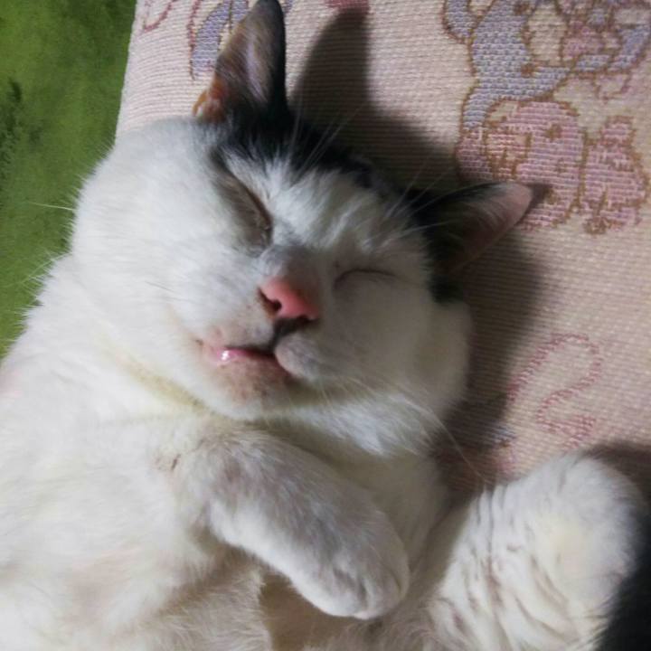 C86ee065 ae26 4fcc 9288 f419747fb1ef 1563093048756