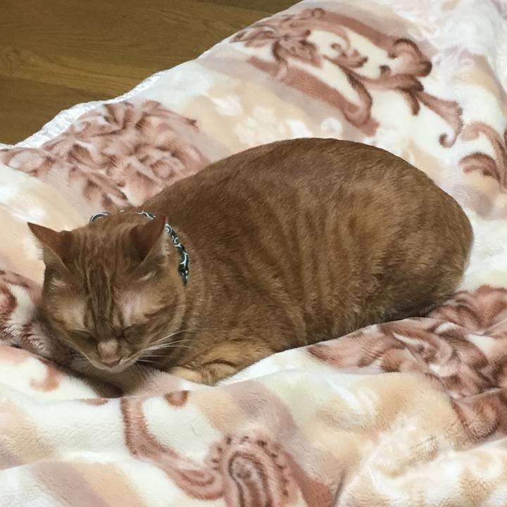 C86efaee 0312 4baa acf8 f7e5aa8be763 1548337508712