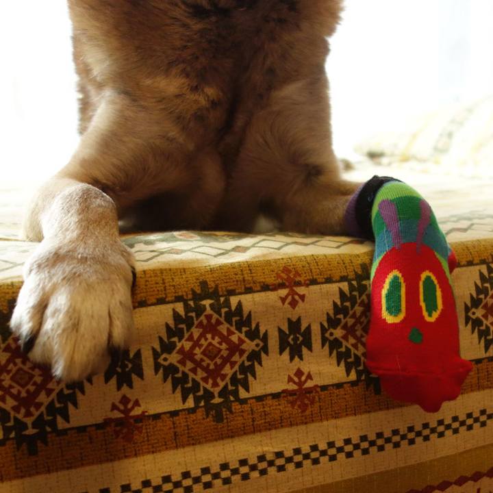 C86f0d83 be7b 46ef be1f 668a28f1e353 1652575645672