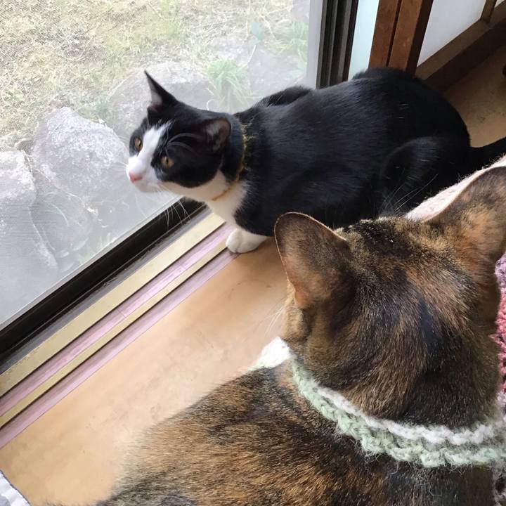 C86f4896 734a 4c34 ab8e d675eddd714d 1647162421055