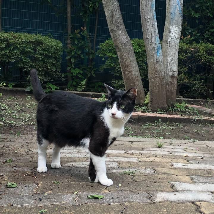 C86f4c2e 590d 4b52 90a3 dd9855738799 1567174264911