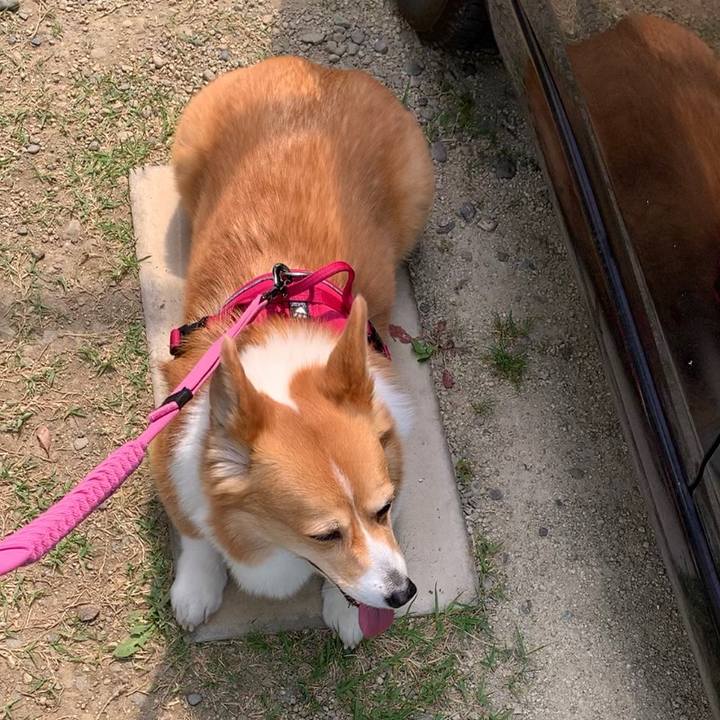 C86f5dac 41da 4b5b 8547 2dbeb5678ecd 1651801918159