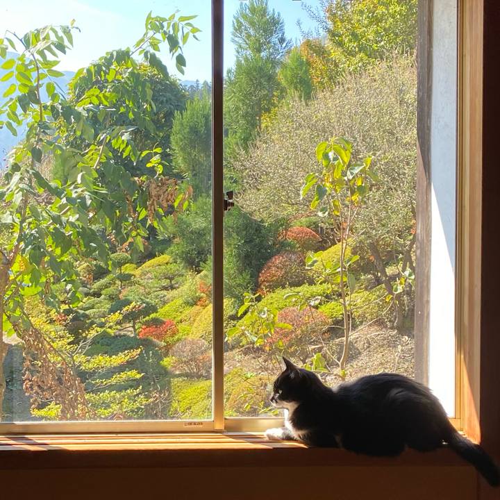 C86f7288 267e 4582 9459 9e6bbc8d6b00 1635560308461