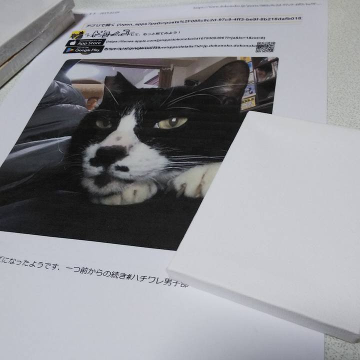 C86f73ab 9a07 42b2 9577 0a8862b562a9 1549796782682