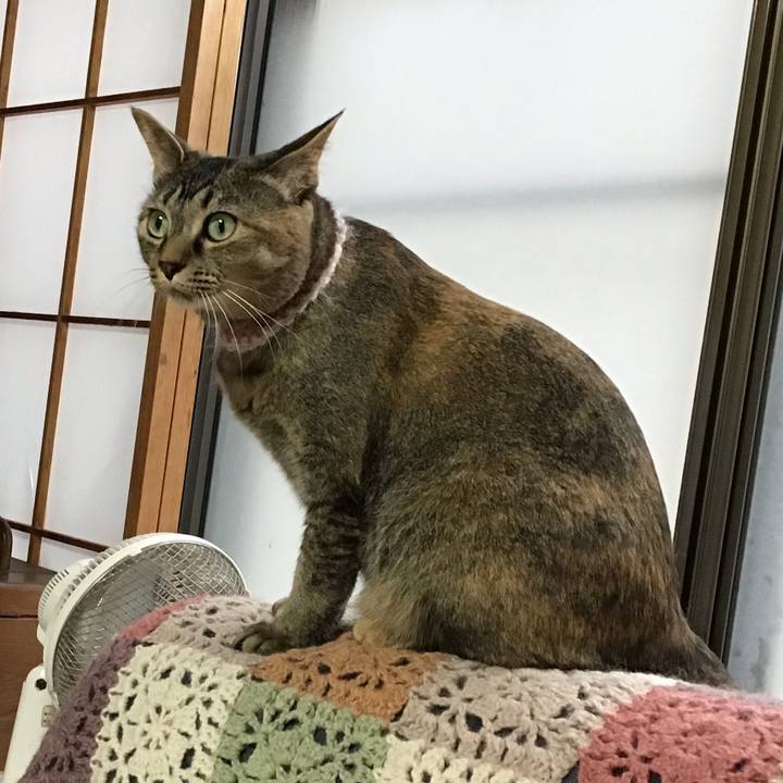 C86f7e25 4bee 418f 91fa 34a1e511ac69 1654507267382