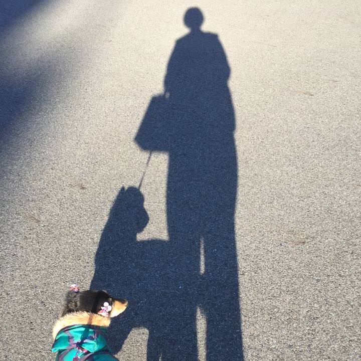 C86f8a21 9508 41cf a9b8 f3bf9c189ac7 1512257013493