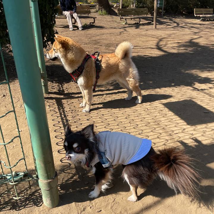 C86f9c26 cc47 4c50 ad4e a9f4ab6bcd96 1615699106215