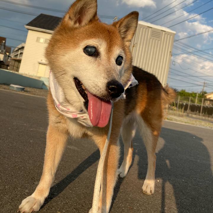 C8700a7d 30b0 4dff be96 b6da14a2bf6e 1756541429804