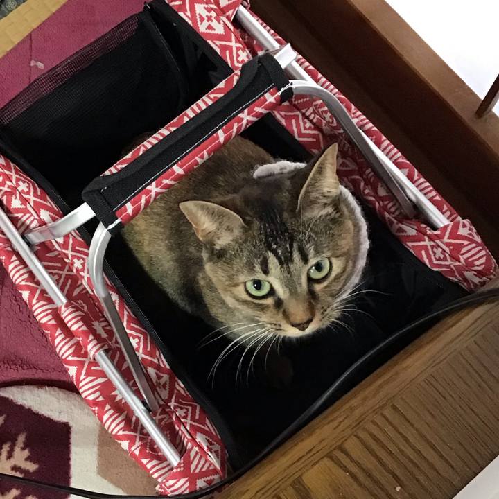 C870641b 7639 4c64 a176 b8ba8ea711e3 1609116461534