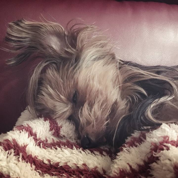 C8706b9a f707 4f28 b52c ebcfd23a287b 1509276520751