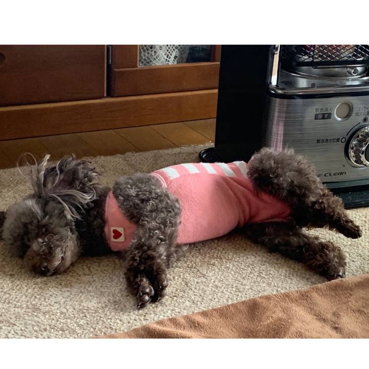 C870914f 4d3f 43e3 8638 2b62118dc97b 1581743986069