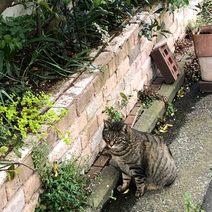 C870b32a e932 41b2 a833 370ee2ec9cb8 1522580447512