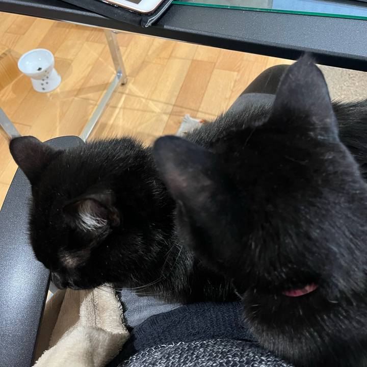 C870b619 3229 439f a316 6c98b34edda9 1668663167571