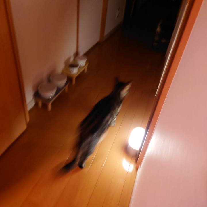 C870ccc2 ba1b 4d27 b8c1 b9eda4fe49e7 1635777502784