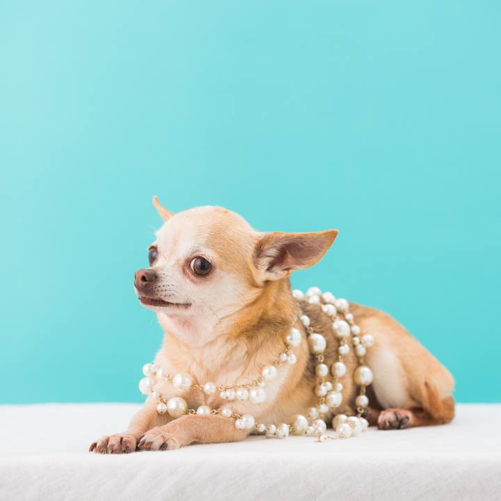 C870e345 f35b 427c 9ae2 298f5966234f 1525083686792