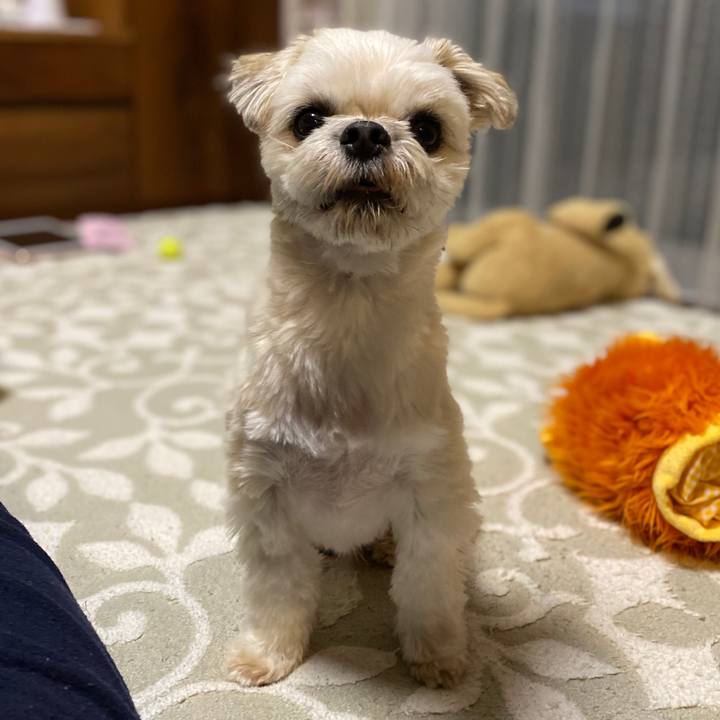 C870f49b 08ce 4f12 aa36 ccc9305ce01a 1574855295485