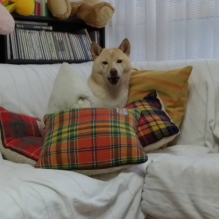 C871147a 7b41 4edb 9673 53e83670e69b 1606907691952