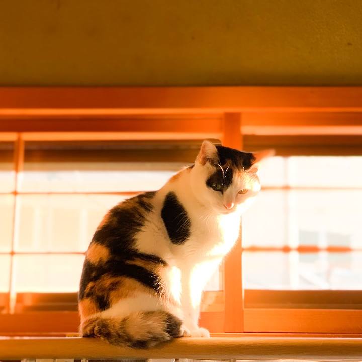 C87118dd 1a2c 4d2b bee9 6f3f29896d38 1578620832083