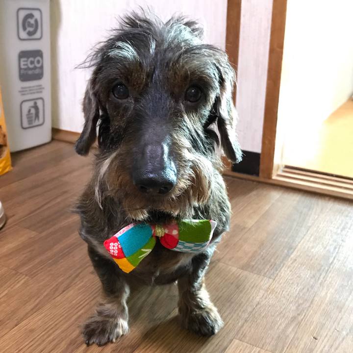 C87163e2 edbb 403f be8c 633a9ff251e0 1551150983485