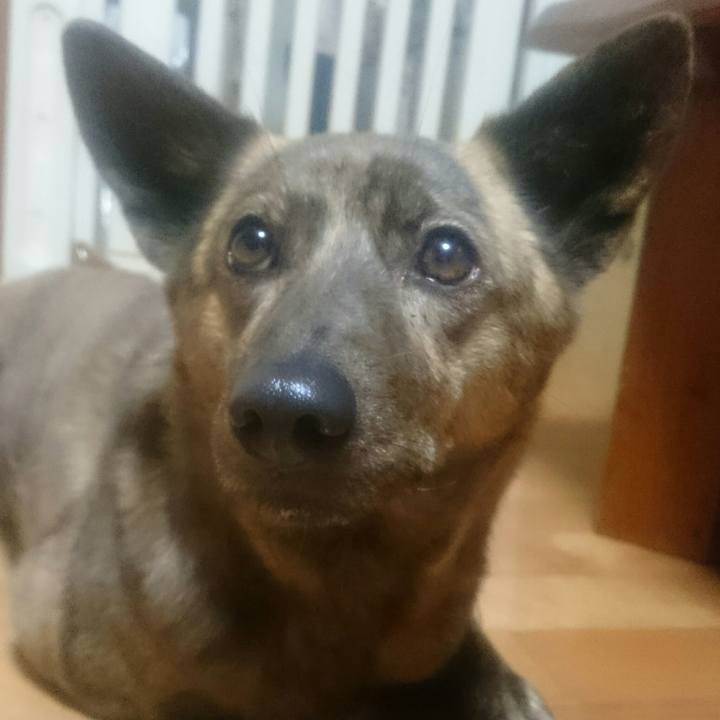 C8716582 0d6e 46f0 bda8 7ef4c1ae5ac3 1522845170833