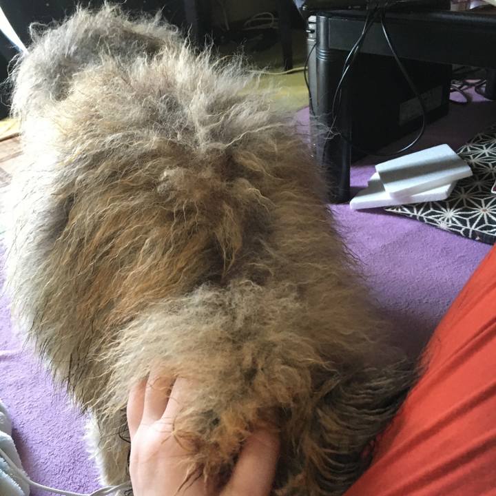 C8718256 b363 4737 b9b1 974a8a477255 1592878604341