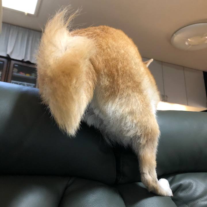 C871c01f 3f75 42da a489 03eefe8c41c6 1575891909868