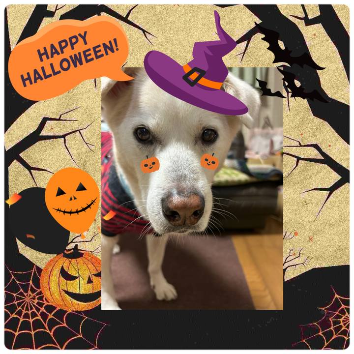 C8720972 f2f3 422e 8471 0672689ac602 1761921074574