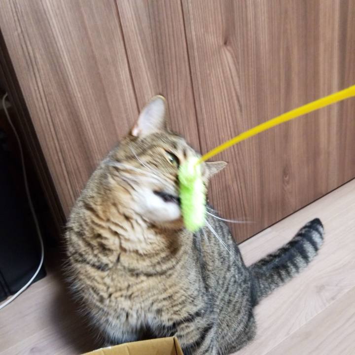 C8721402 c612 43e0 87eb 1b49da6f9544 1567424158333