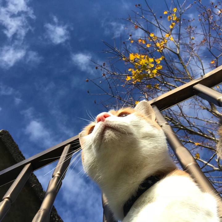 C8722855 df27 4703 a0c1 909c0d88389e 1510792906764