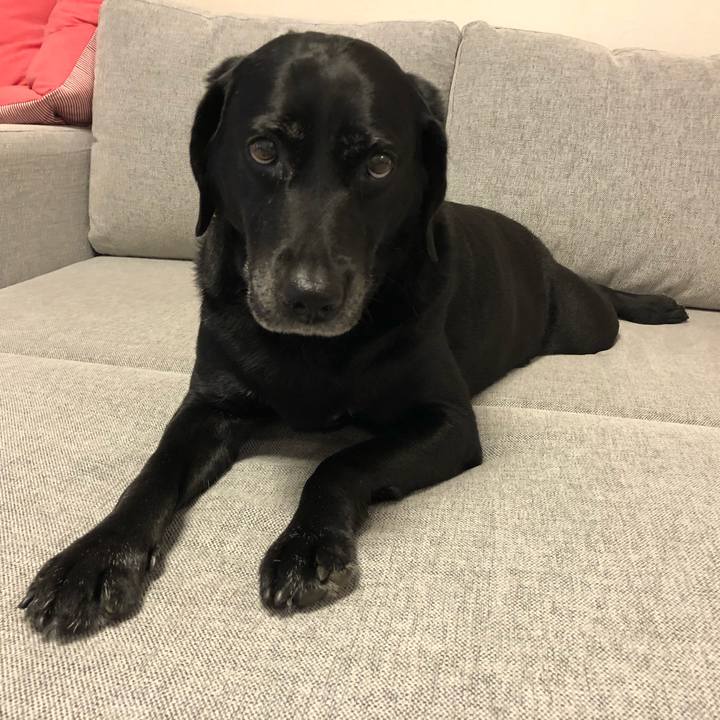 C87232d6 18cf 4fe5 a67c a19a1de9bc3a 1535159093340