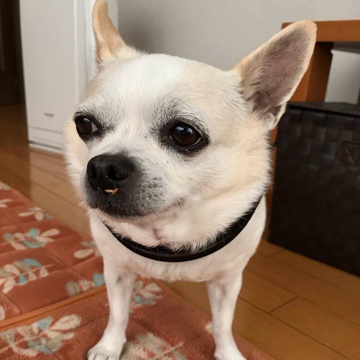 C8725334 b7cb 4b65 820c 4a8bb52bf502 1555807312132