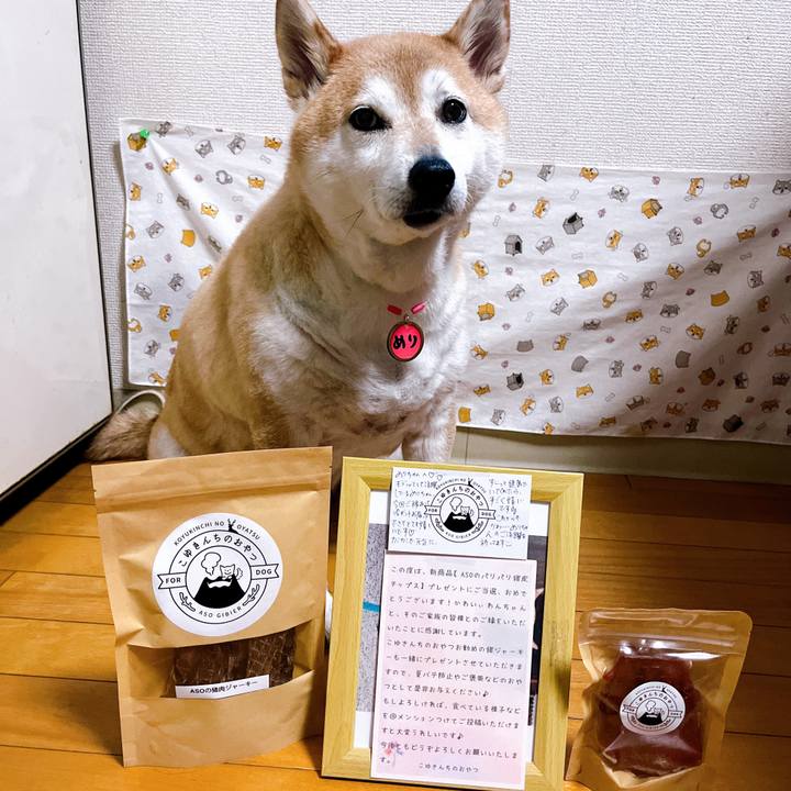 C872af5d 2f31 42c5 8f9f b1ecfc54f443 1720252913030