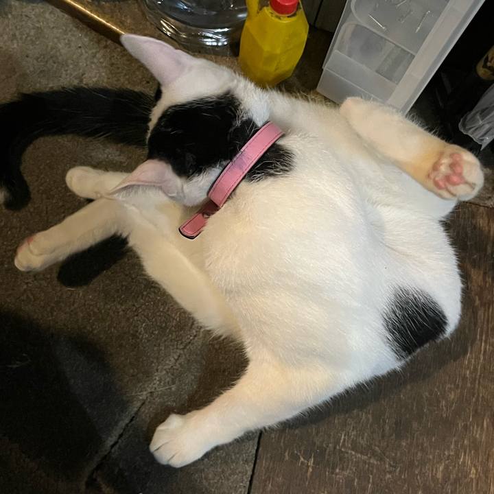 C872e104 450e 4ec5 8731 5c24394252c7 1725530118348