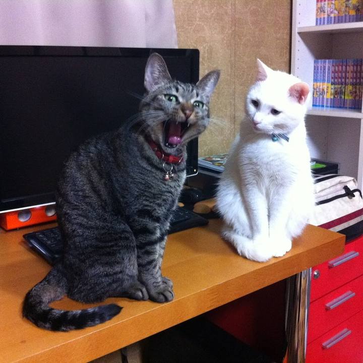 C872f849 839f 49b7 9332 688517a09458 1558592777828