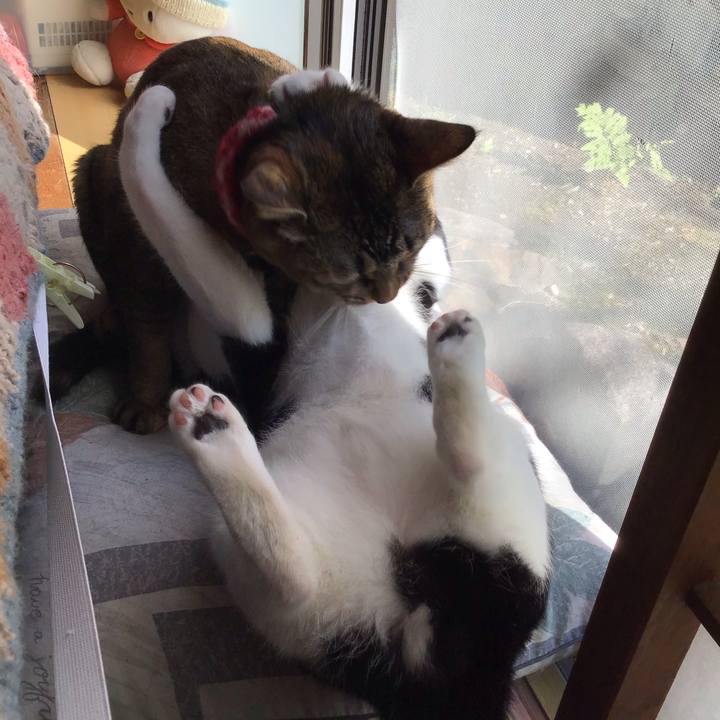 C8730a40 1a2e 4c9d a9e1 8e0d9e32b4e6 1634272441606