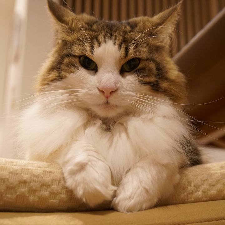 C8732d01 e415 4b5d a9a2 0c3d2cc82015 1552737303266