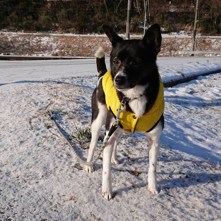 C8732e1f 8f9c 4662 93ee 8aa98507bc3b 1517270559936