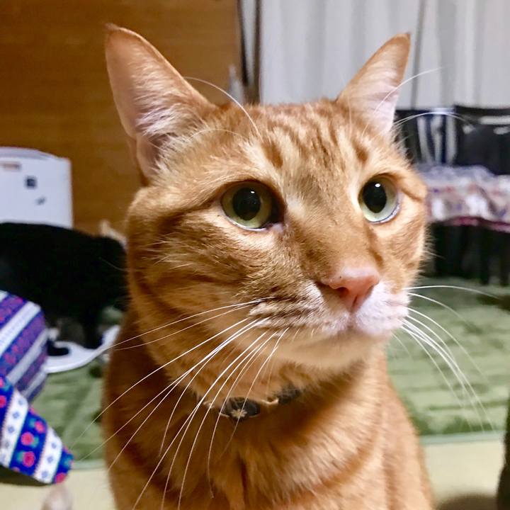 C8734130 89c7 4365 a952 10d28b55fe32 1522499586688