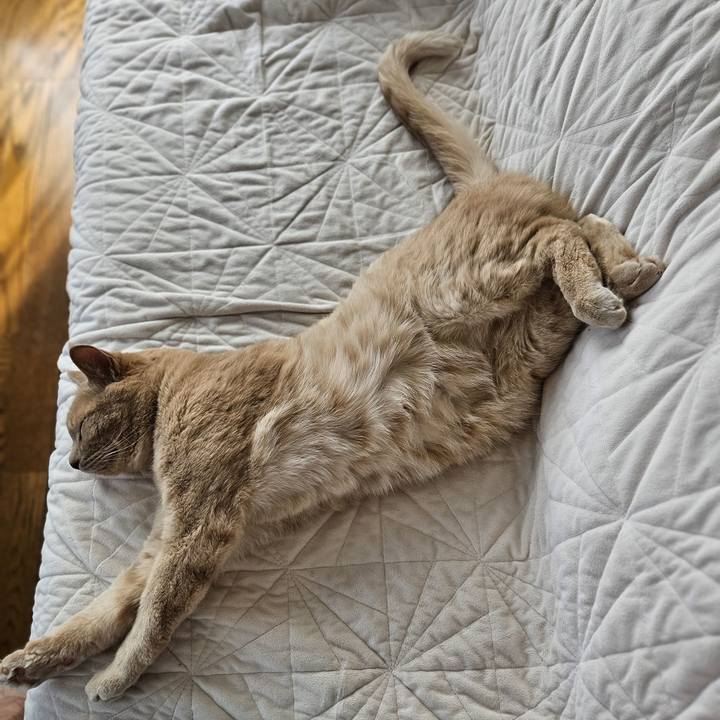 C8734183 f678 49b6 be63 4209904142f6 1721454400776