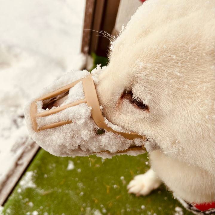 C8734567 379c 4263 a01f a19cc5c4abda 1763421027031