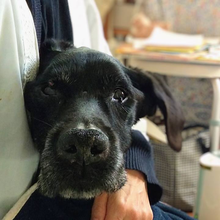 C873ad7d 881d 42d7 98d6 7da039a8889f 1732413997748