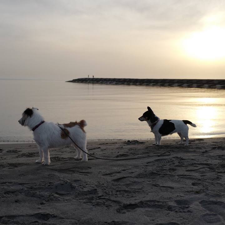 C873bb04 f4bb 4ff4 b22e e1db4121df99 1556079403441