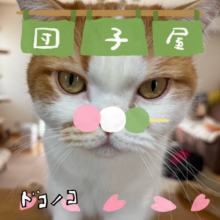 C873bbfd 3df4 4df2 b1c9 a222e8bc1b54 1712232842003