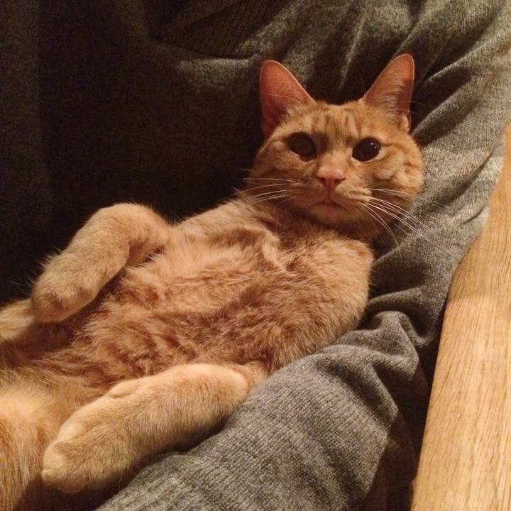 C873cd33 33c8 4f60 ab83 7c21791b5830 1515929126115